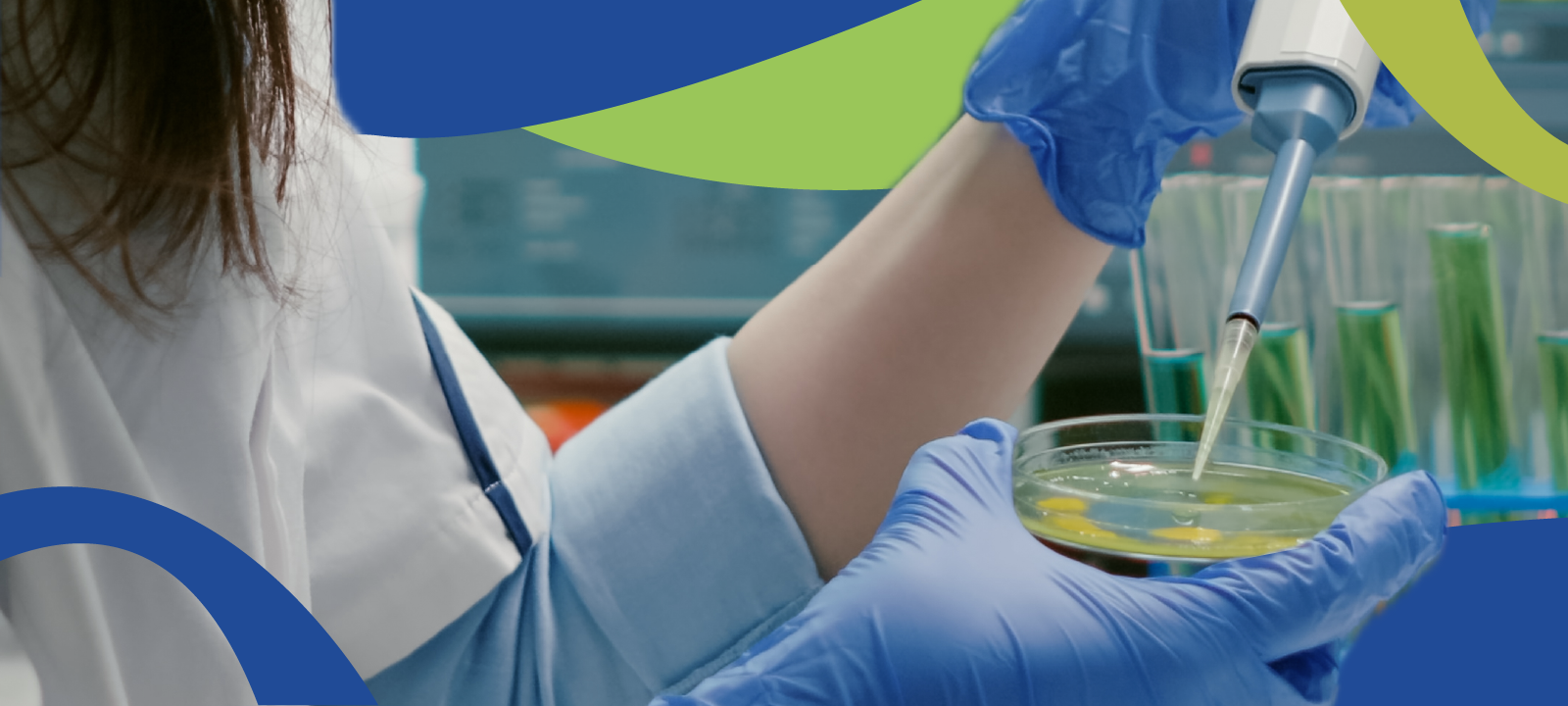 Compromiso con la Institución