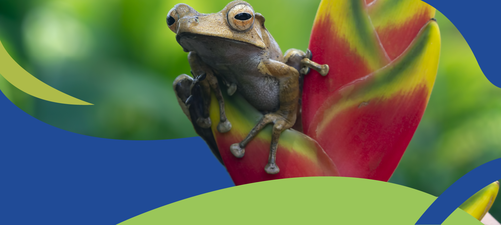 Escuela de Ciencias Biológicas